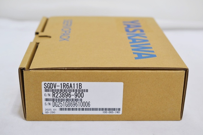 1 SGDV-1R6A11B.JPG